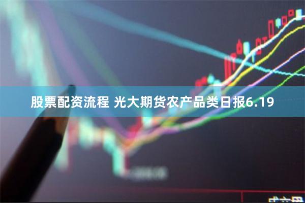 股票配资流程 光大期货农产品类日报6.19