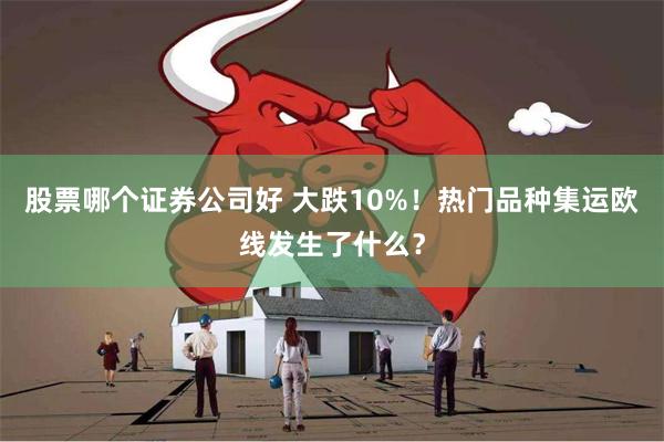 股票哪个证券公司好 大跌10%！热门品种集运欧线发生了什么？