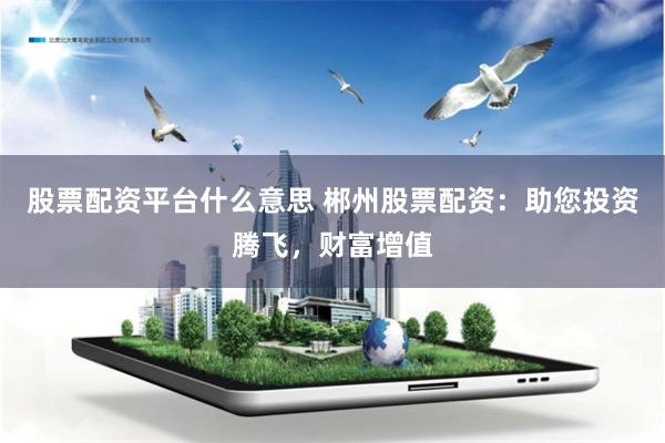 股票配资平台什么意思 郴州股票配资：助您投资腾飞，财富增值