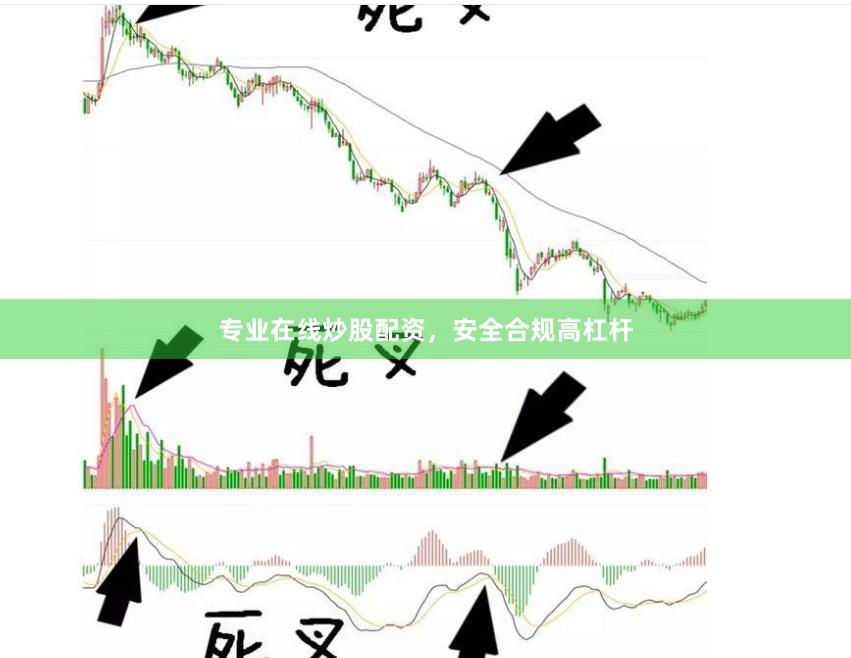 专业在线炒股配资，安全合规高杠杆