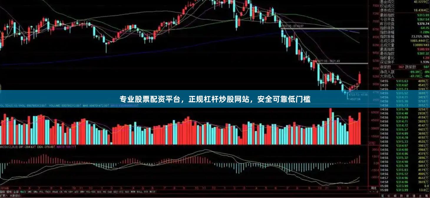 专业股票配资平台，正规杠杆炒股网站，安全可靠低门槛