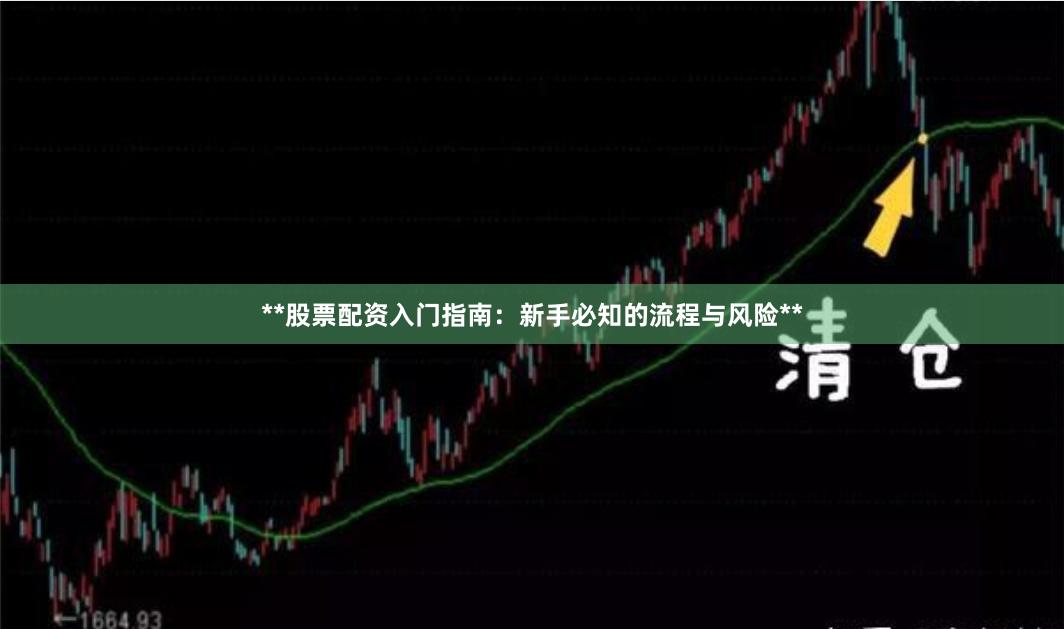 **股票配资入门指南：新手必知的流程与风险**