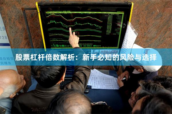股票杠杆倍数解析：新手必知的风险与选择