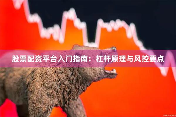 股票配资平台入门指南：杠杆原理与风控要点